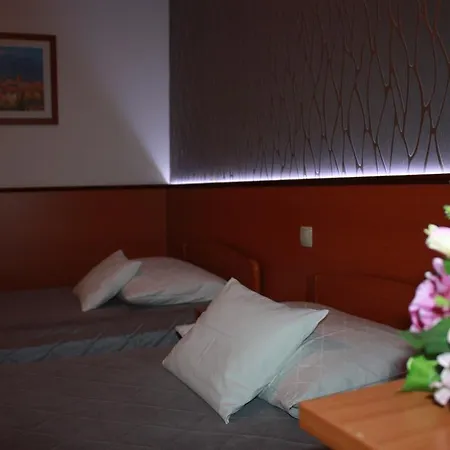 Apartment Iva