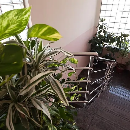 아파트 Apartment Iva